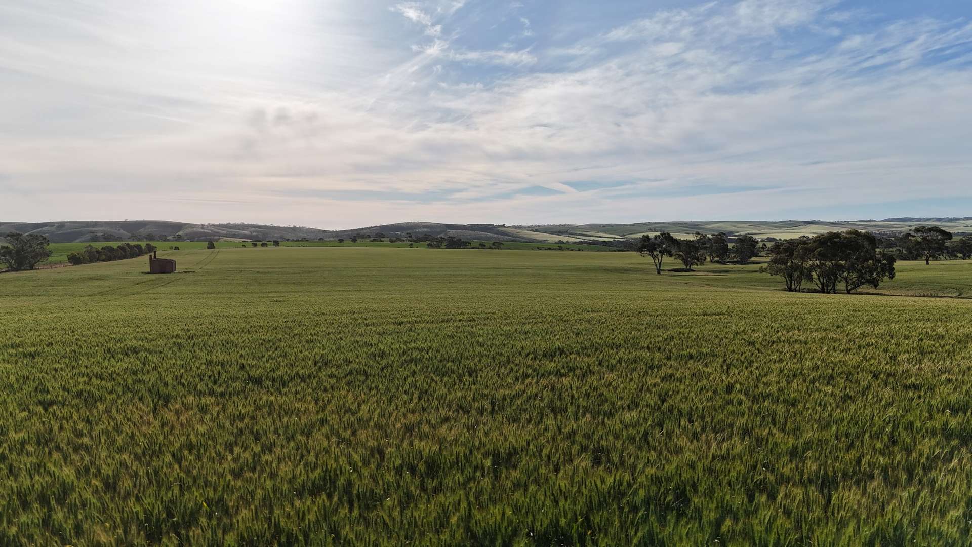 'The Gap' Wilkins Highway, Huddleston For Sale by Farmbuy.com - image 11