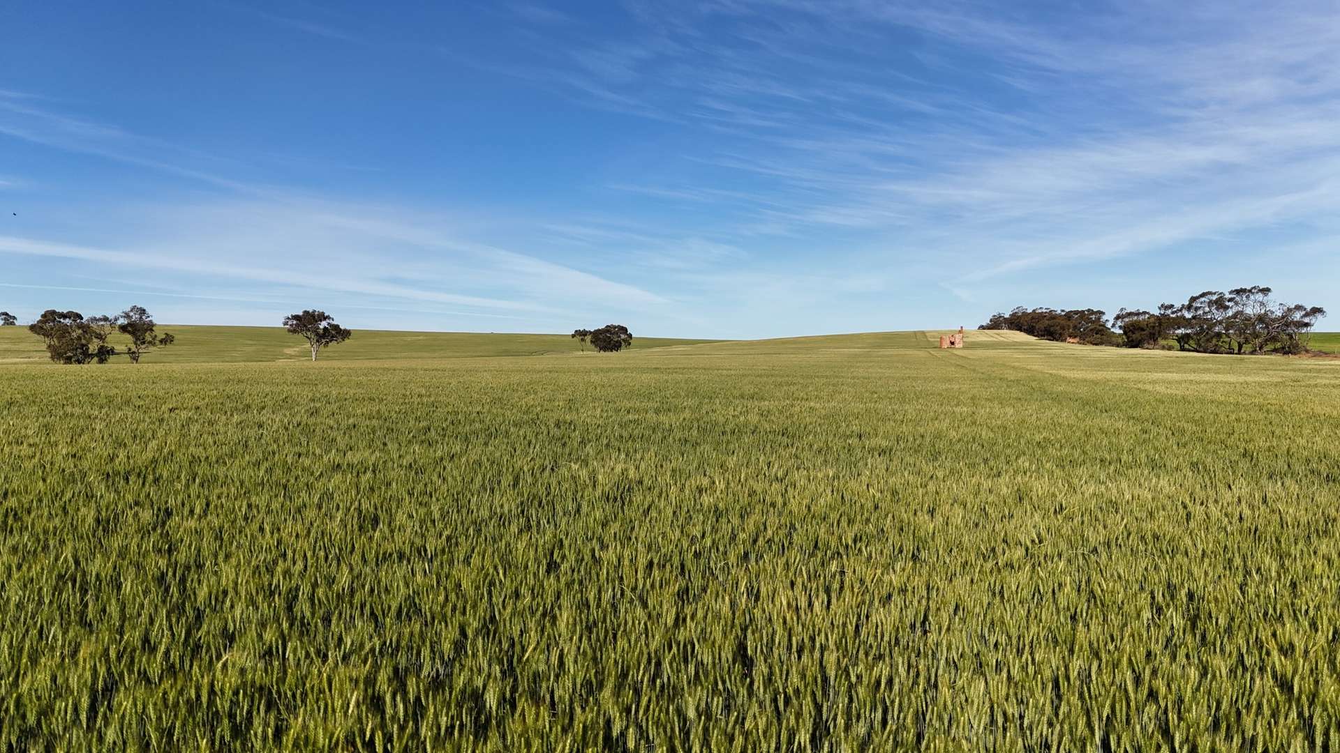 'The Gap' Wilkins Highway, Huddleston For Sale by Farmbuy.com - image 2