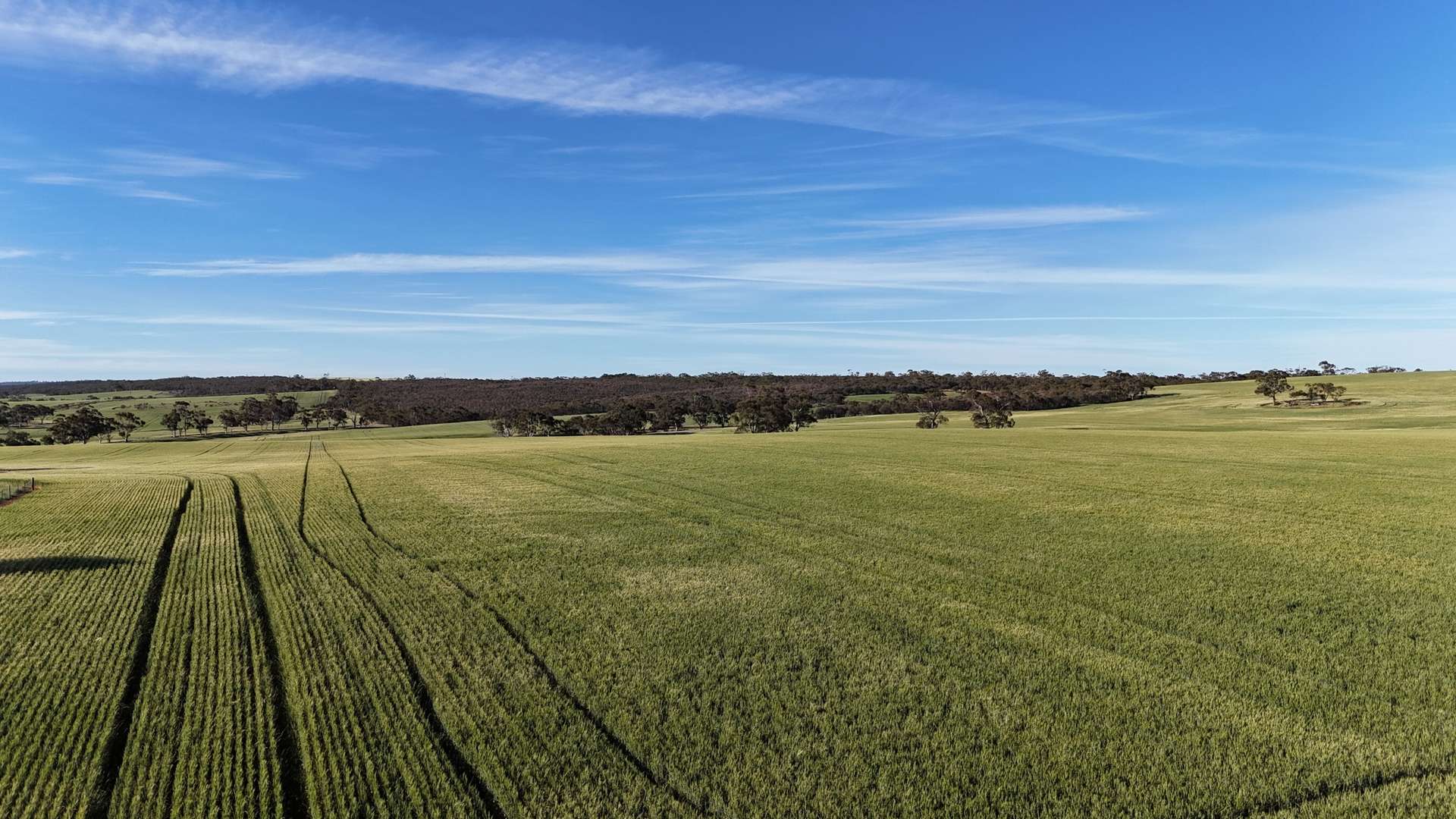 'The Gap' Wilkins Highway, Huddleston For Sale by Farmbuy.com - image 14