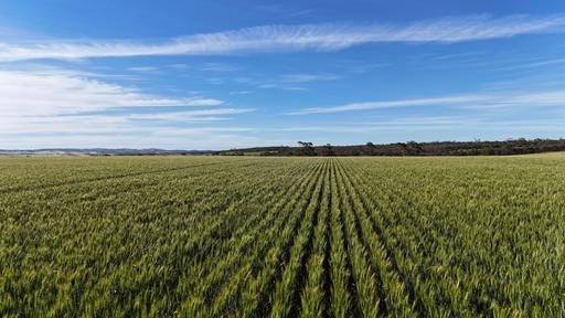 Farm For Sale - SA - Huddleston - 5523 - 'The Gap' 
