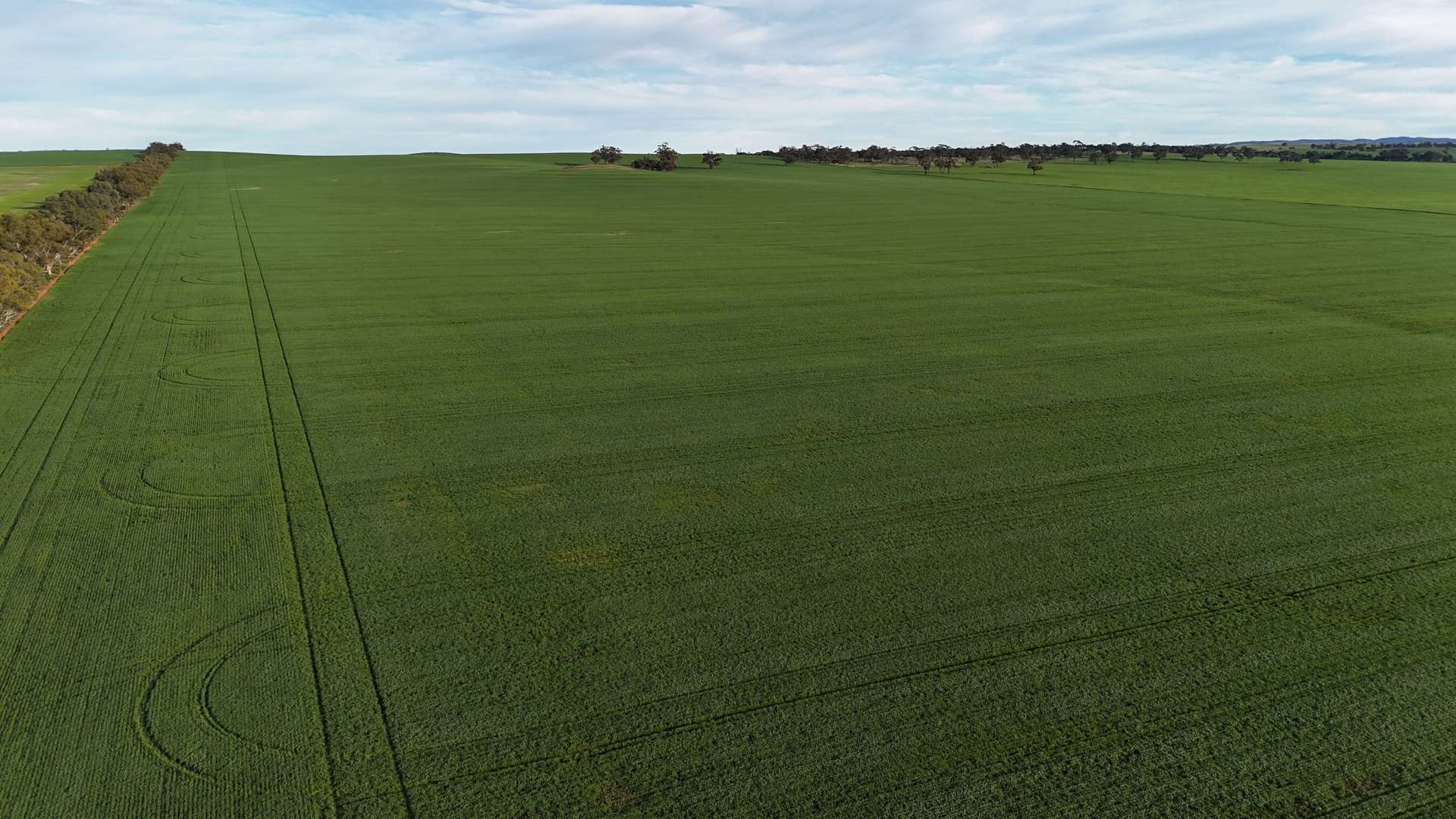 'Cavan Downs' Heaslip Highway, Huddleston For Sale by Farmbuy.com - image 4
