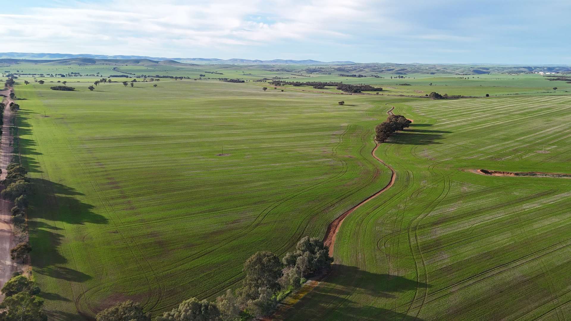 'Cavan Downs' Heaslip Highway, Huddleston For Sale by Farmbuy.com - image 5