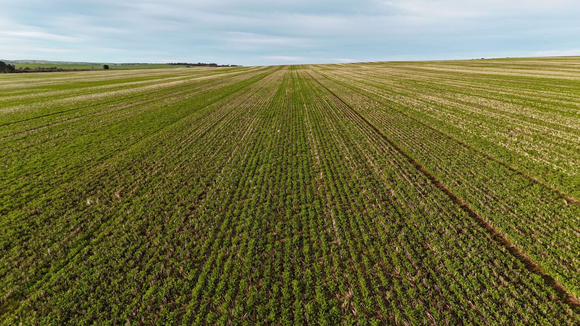 'Cavan Downs' Heaslip Highway, Huddleston For Sale by Farmbuy.com - image 7