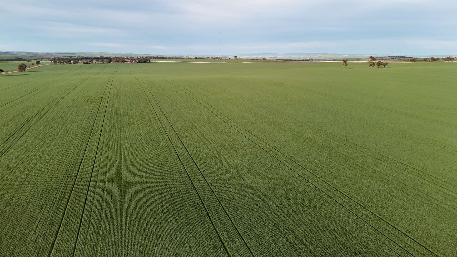 'Cavan Downs' Heaslip Highway, Huddleston For Sale by Farmbuy.com - image 8