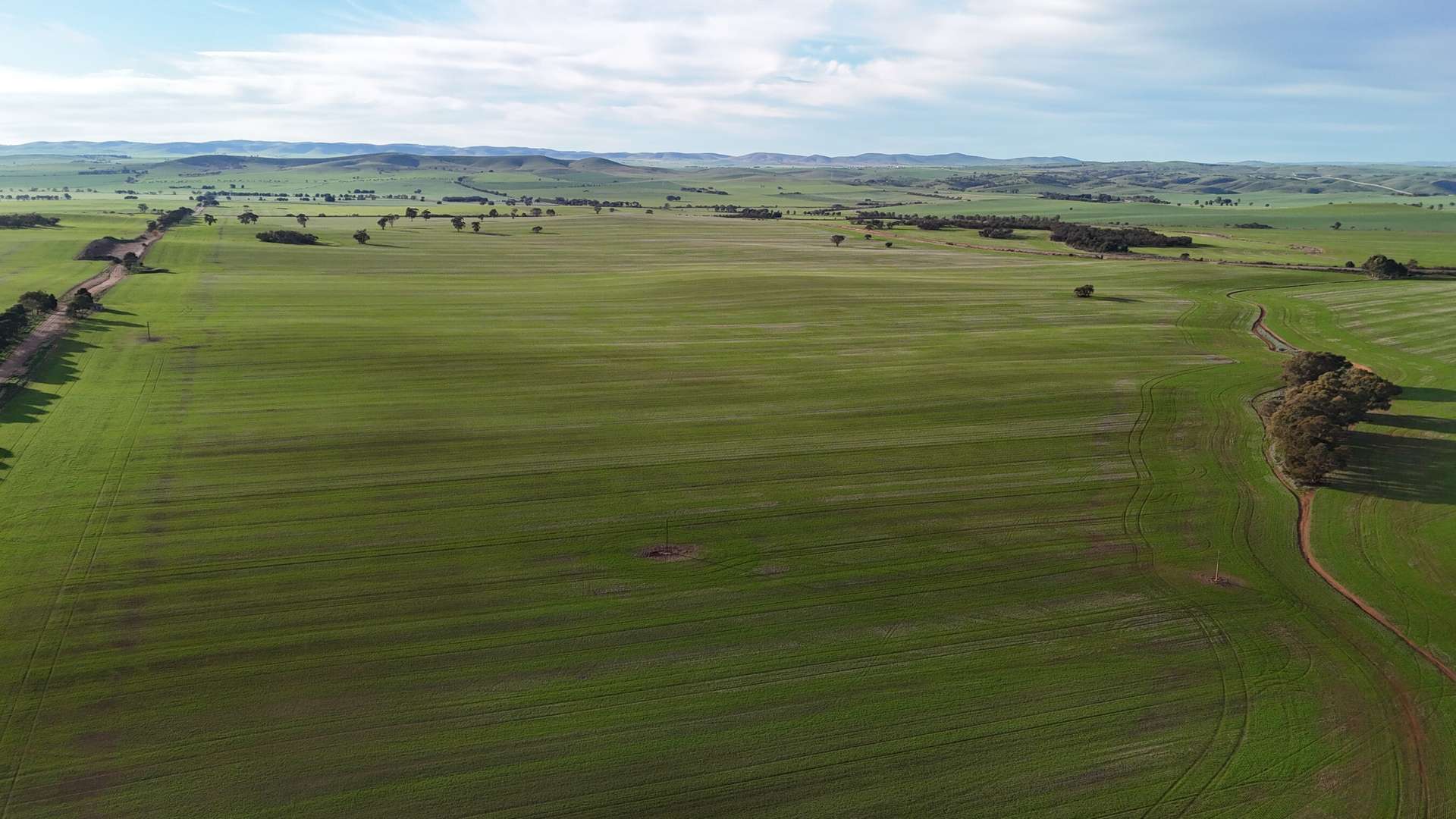 'Cavan Downs' Heaslip Highway, Huddleston For Sale by Farmbuy.com - image 6