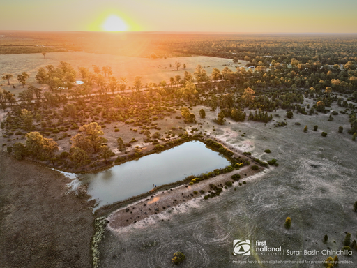 16228 Surat Developmental Road, Goranba QLD 4421