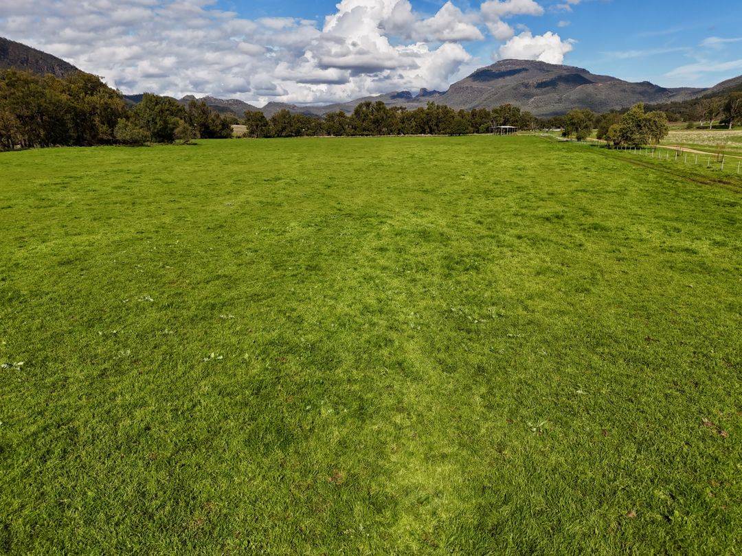 THE GLEN/308 Allambie Road, Bellata For Sale by Farmbuy.com - image 31