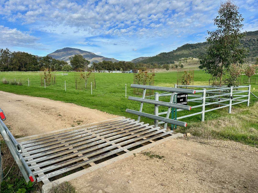 THE GLEN/308 Allambie Road, Bellata For Sale by Farmbuy.com - image 15