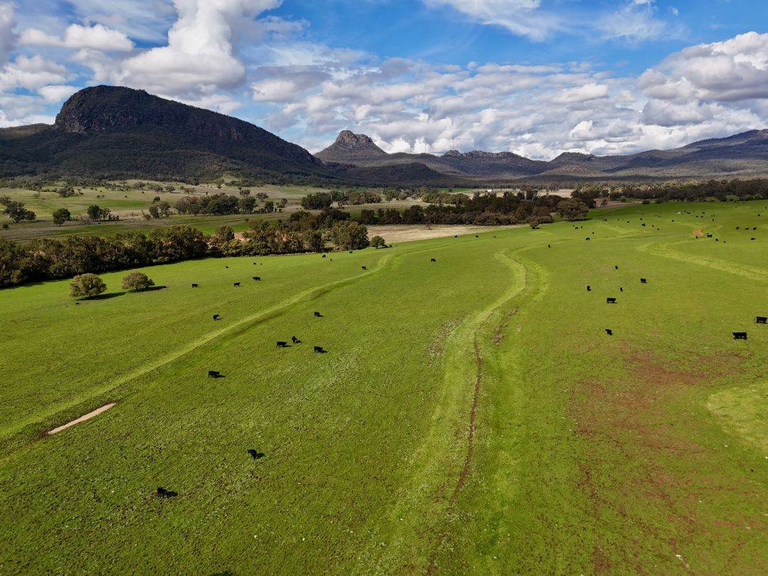 THE GLEN/308 Allambie Road, Bellata For Sale by Farmbuy.com - image 23