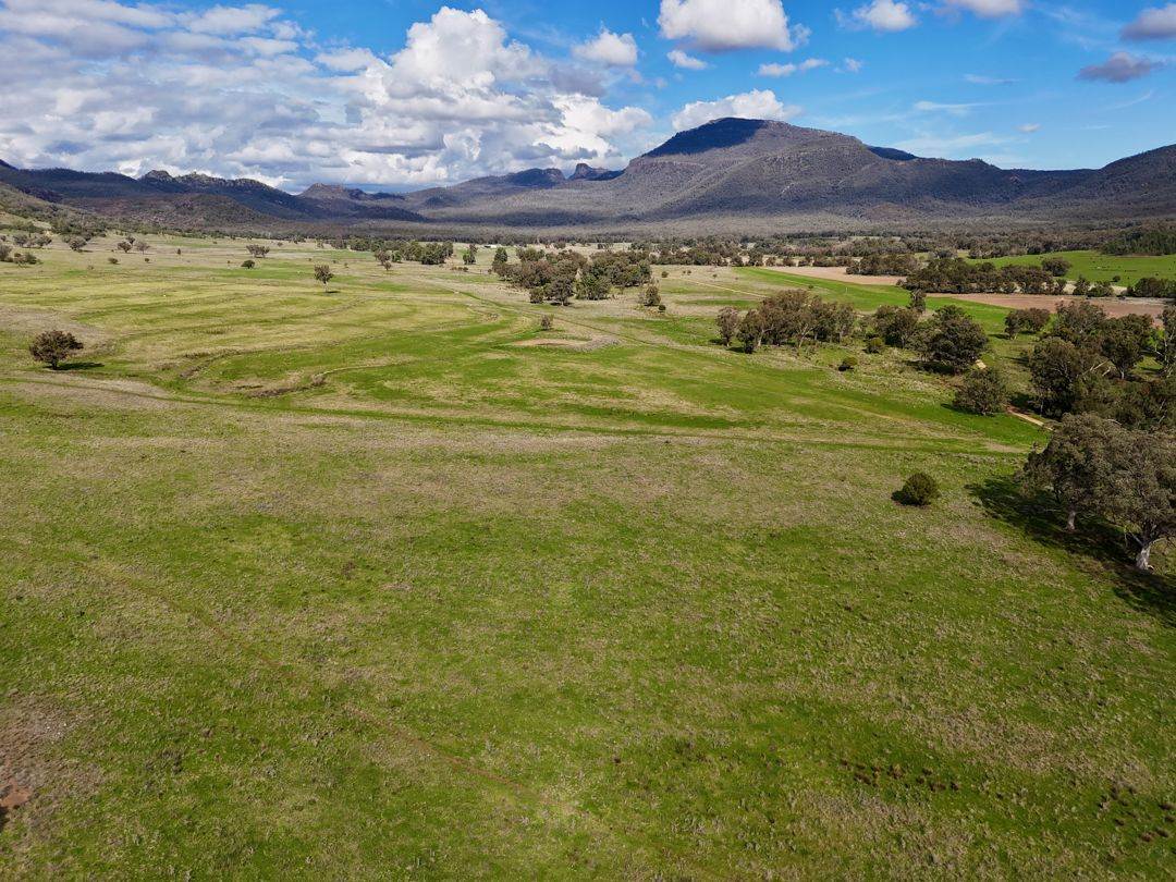 THE GLEN/308 Allambie Road, Bellata For Sale by Farmbuy.com - image 22