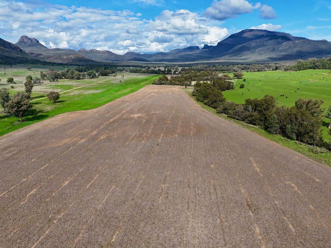 THE GLEN/308 Allambie Road, Bellata For Sale by Farmbuy.com - image 4