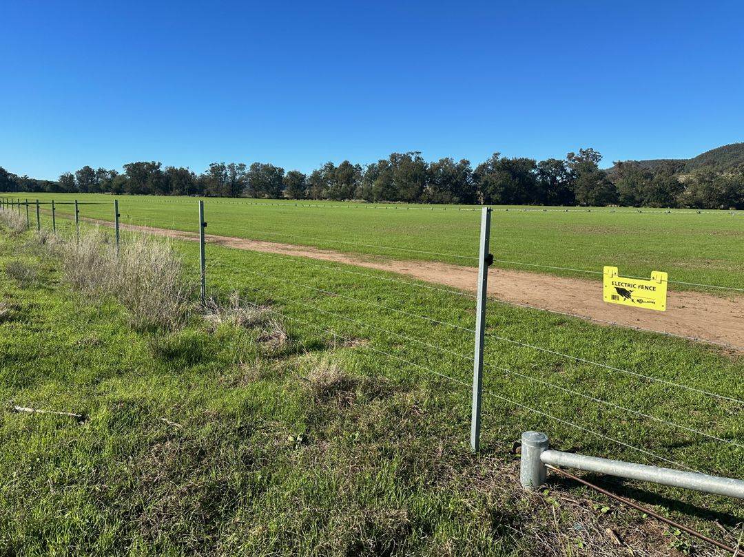 THE GLEN/308 Allambie Road, Bellata For Sale by Farmbuy.com - image 13