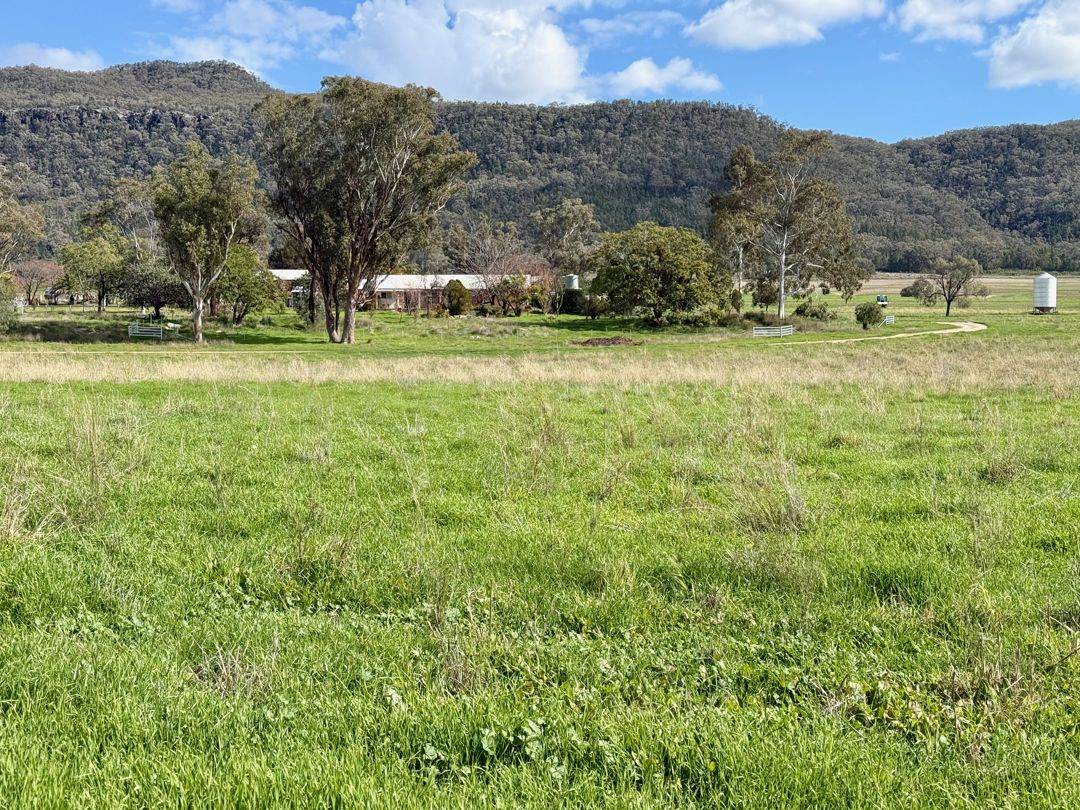 THE GLEN/308 Allambie Road, Edgeroi For Sale by Farmbuy.com - image 14