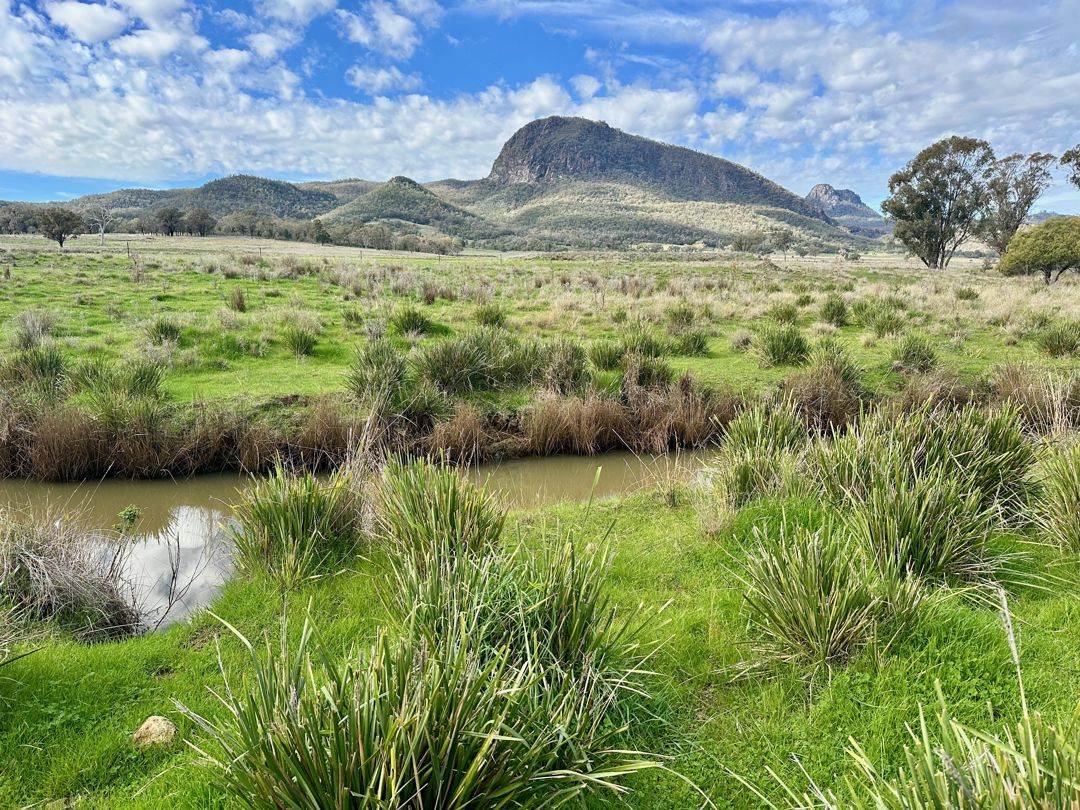 THE GLEN/308 Allambie Road, Bellata For Sale by Farmbuy.com - image 32