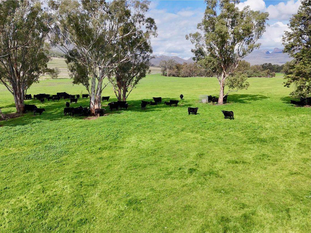 THE GLEN/308 Allambie Road, Bellata For Sale by Farmbuy.com - image 2