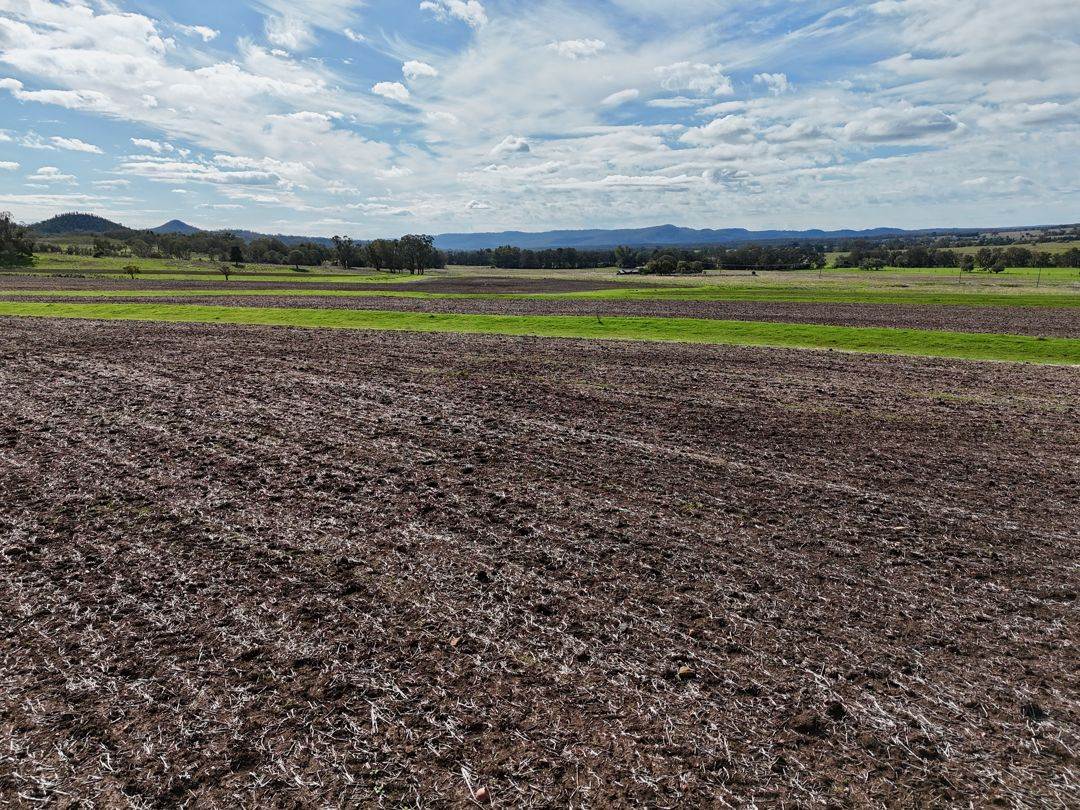 THE GLEN/308 Allambie Road, Edgeroi For Sale by Farmbuy.com - image 7