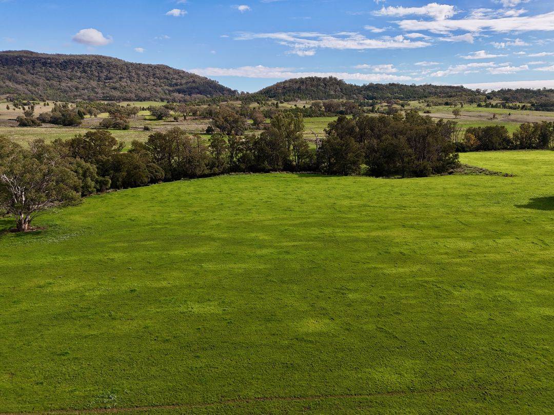 THE GLEN/308 Allambie Road, Bellata For Sale by Farmbuy.com - image 21