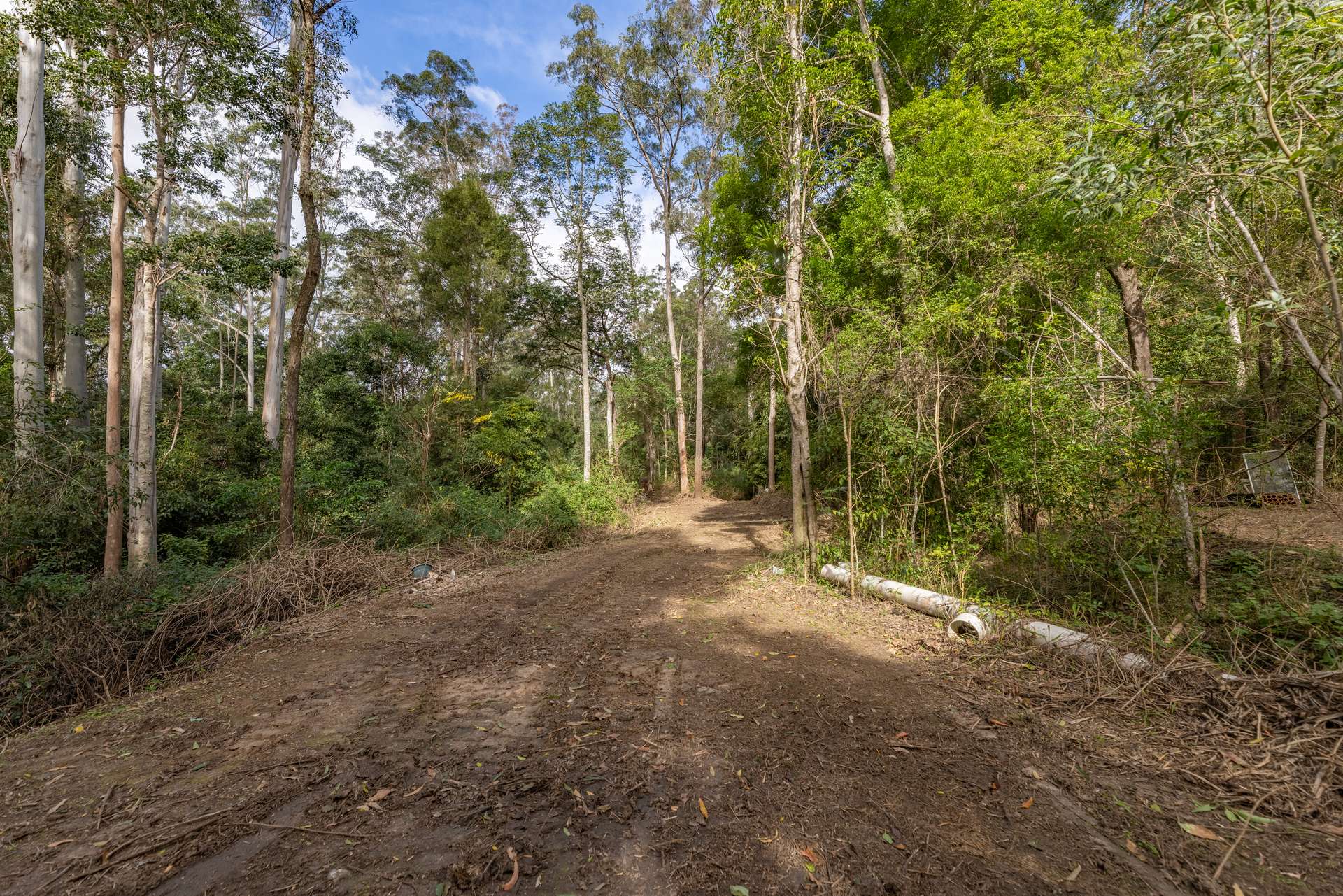 556 Newman Lane, Delaneys Creek For Sale by Farmbuy.com - image 6