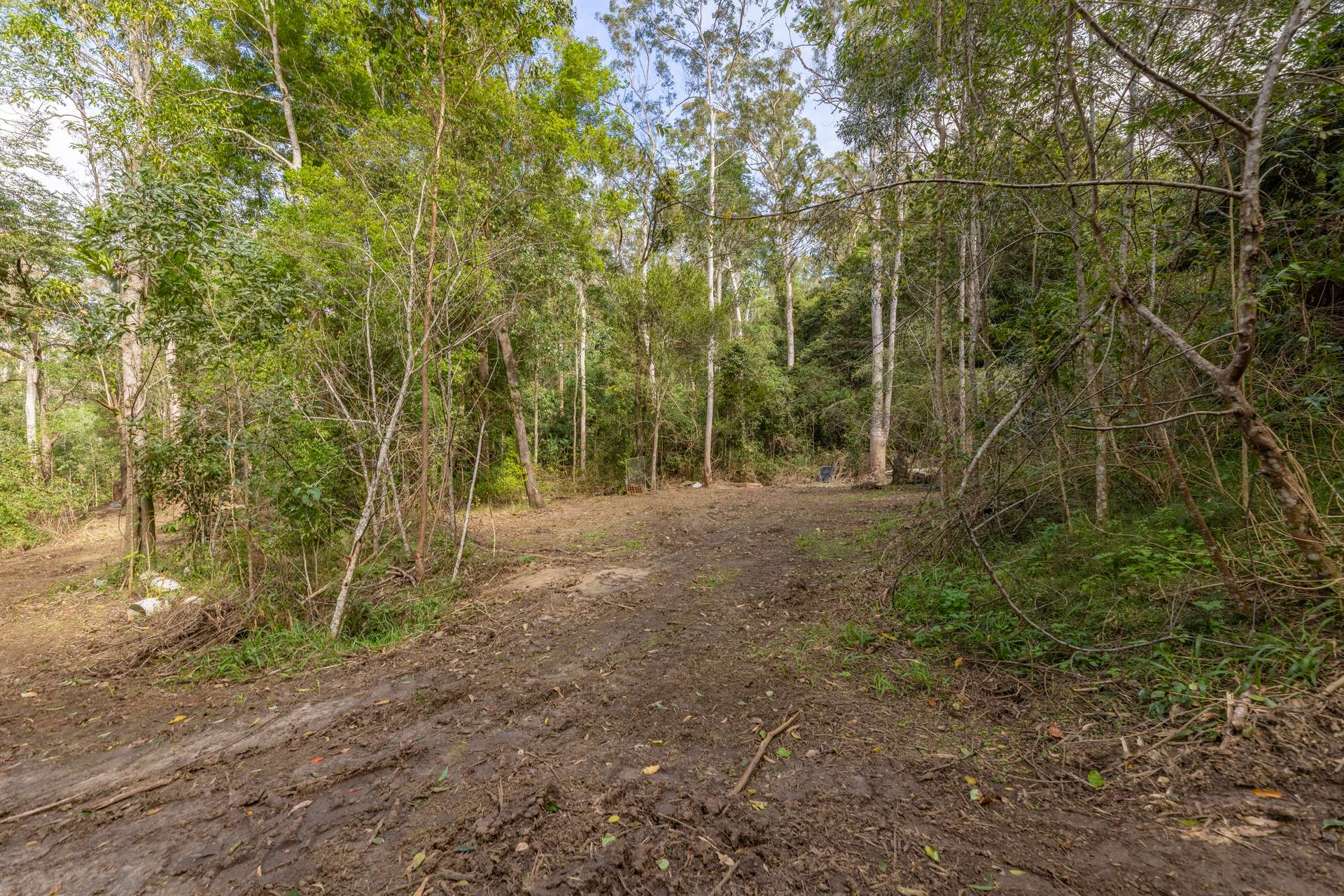556 Newman Lane, Delaneys Creek For Sale by Farmbuy.com - image 4