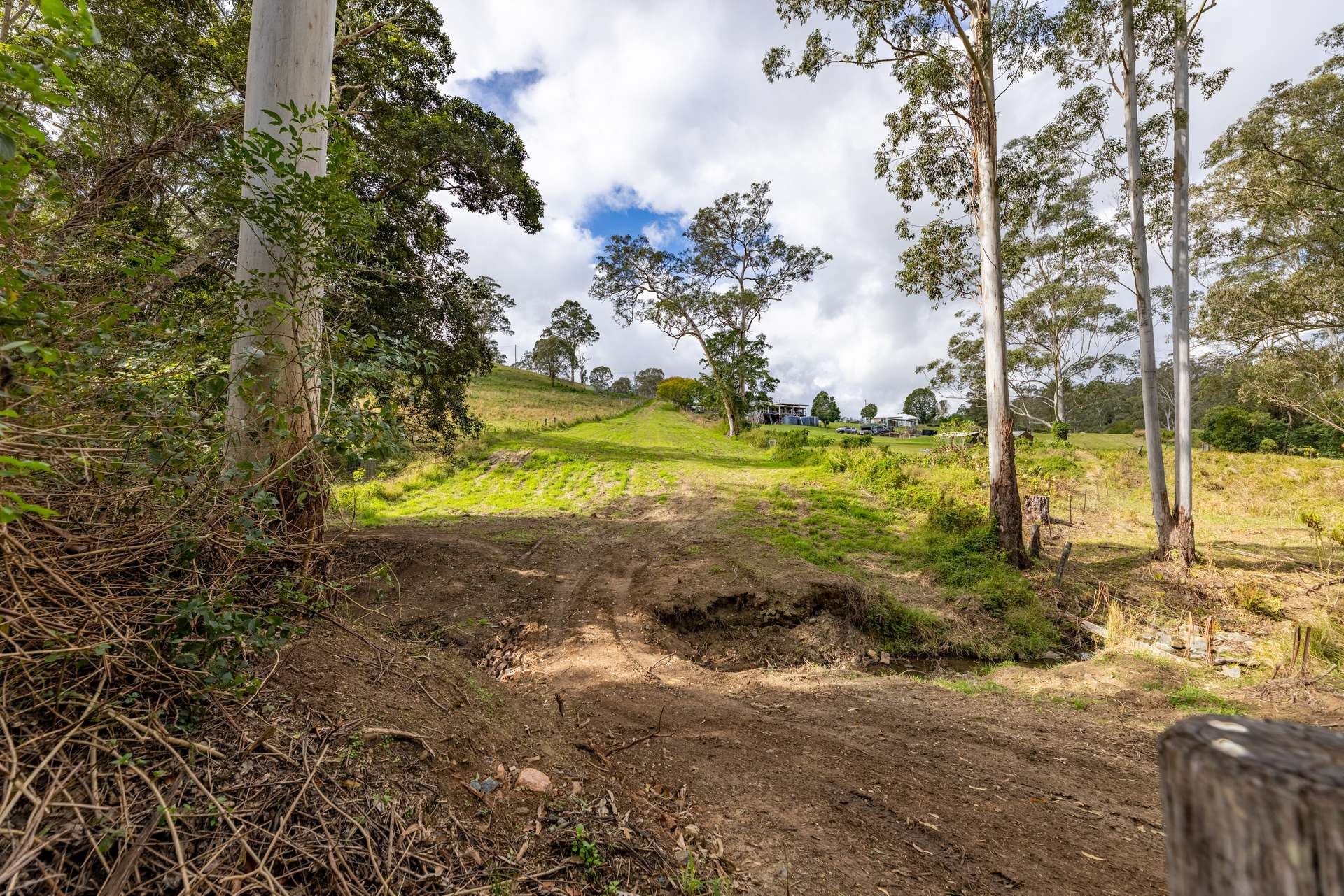 556 Newman Lane, Delaneys Creek For Sale by Farmbuy.com - image 15