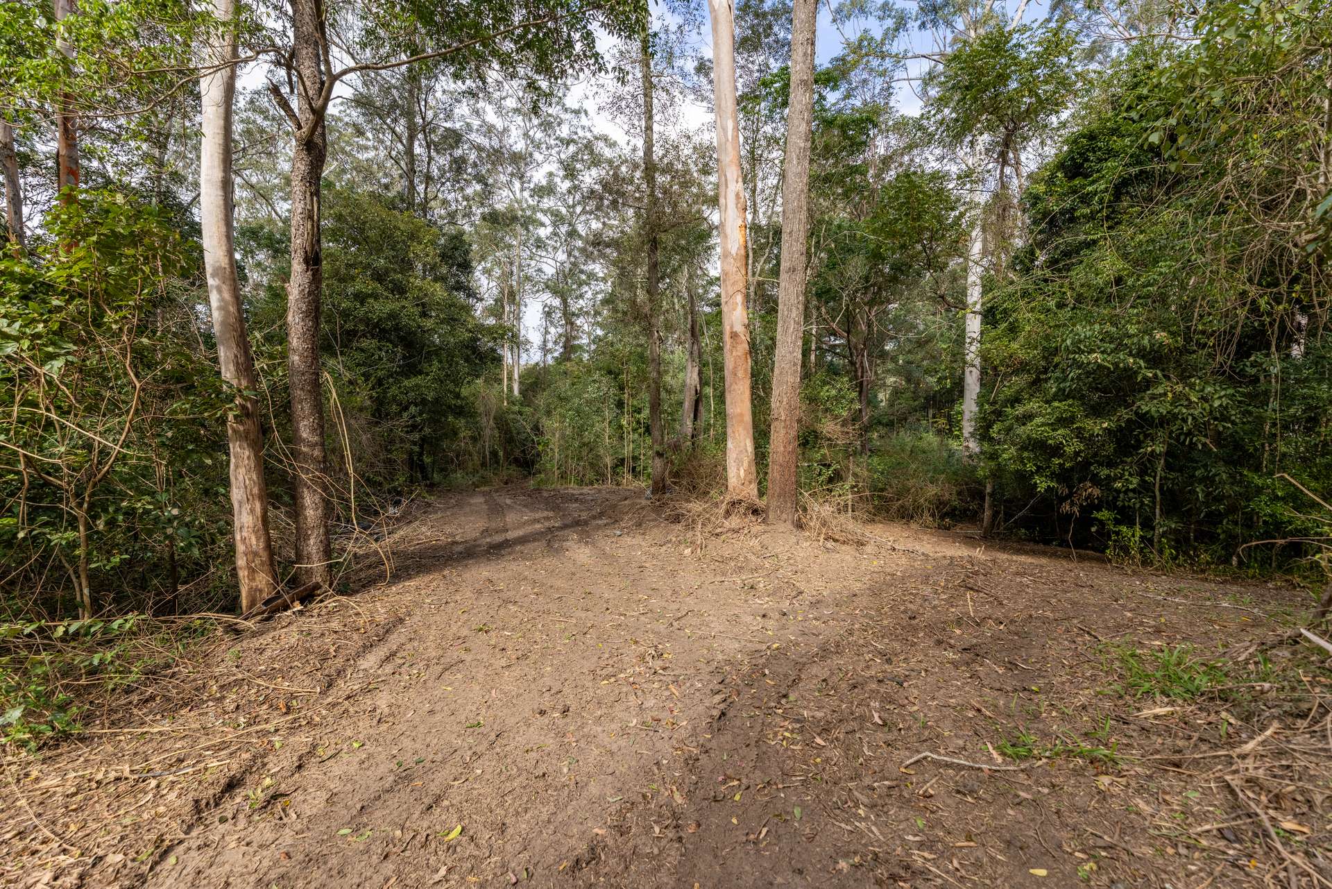 556 Newman Lane, Delaneys Creek For Sale by Farmbuy.com - image 13