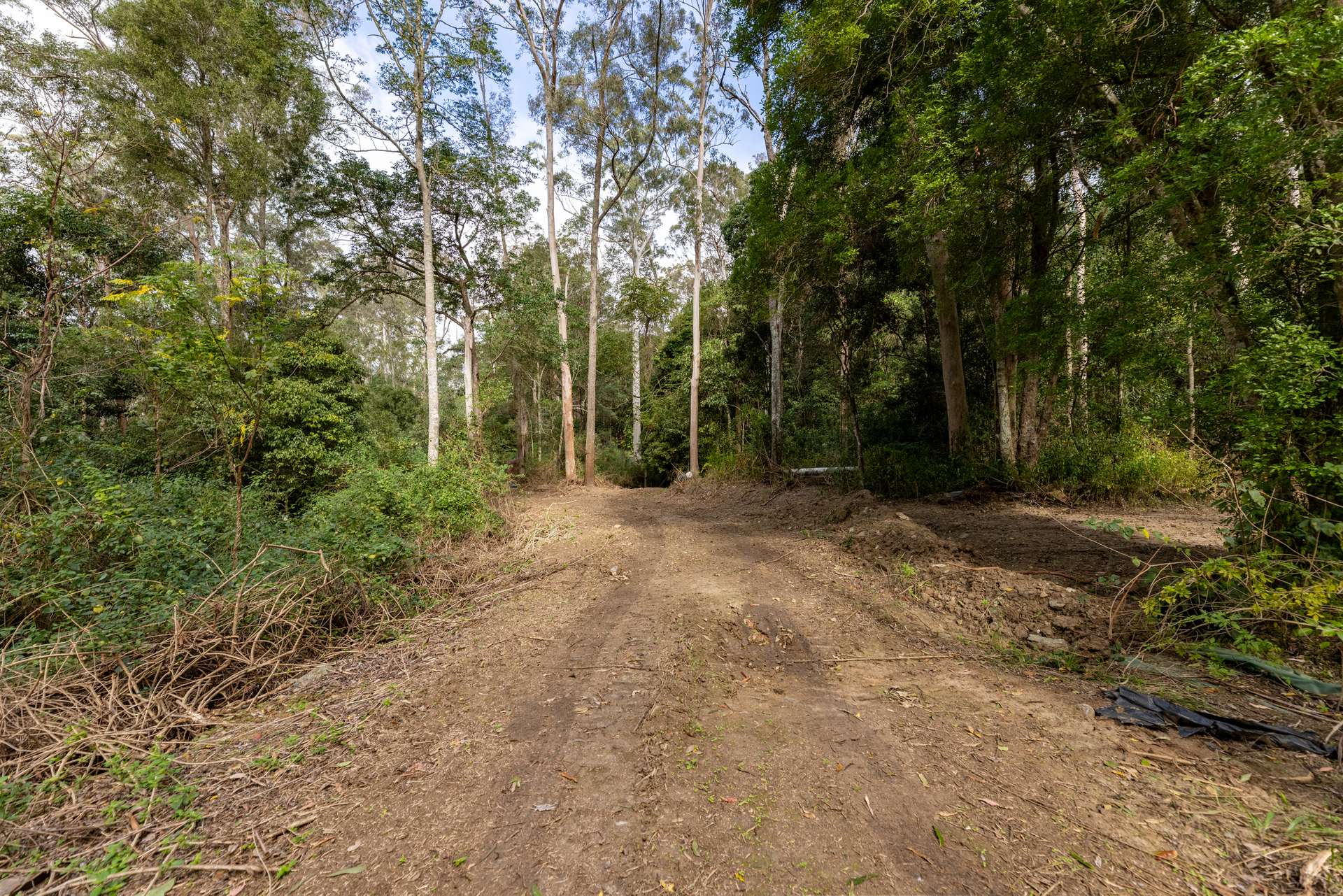 556 Newman Lane, Delaneys Creek For Sale by Farmbuy.com - image 8