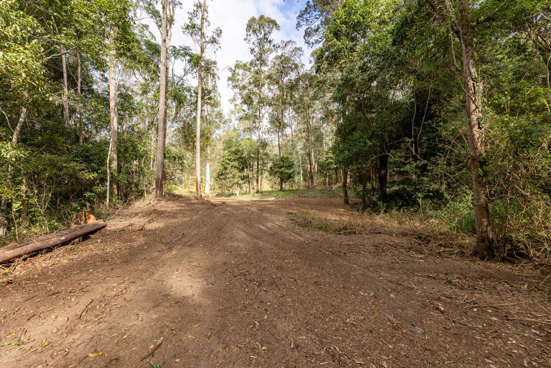 556 Newman Lane, Delaneys Creek For Sale by Farmbuy.com - image 11