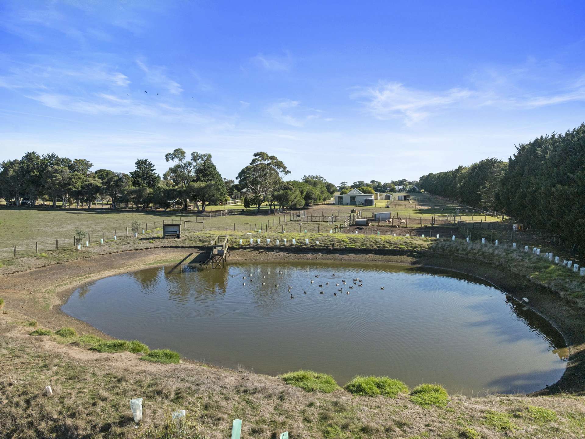 422 Ventnor Road, Ventnor For Sale by Farmbuy.com - image 24