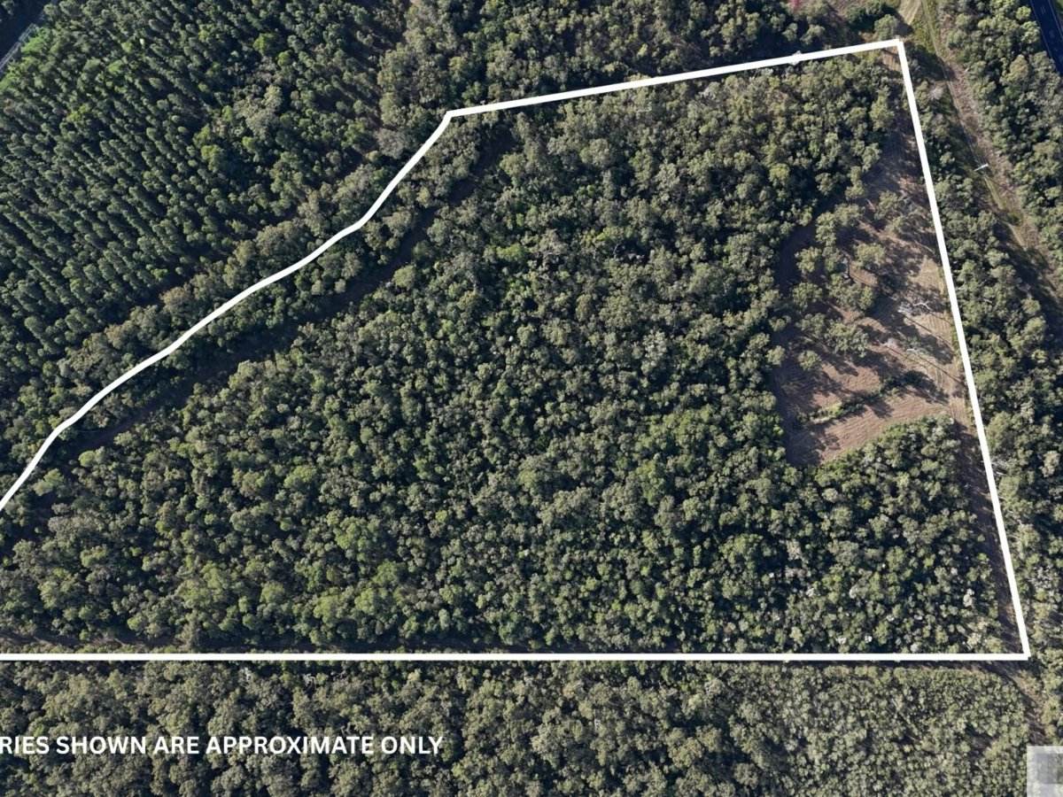 Lot 5 Stony Creek Road, Cardwell For Sale by Farmbuy.com - image 3