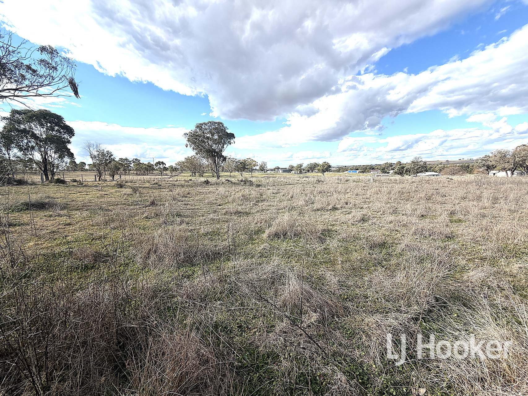 99 Inverell Street, Ashford For Sale by Farmbuy.com - image 6