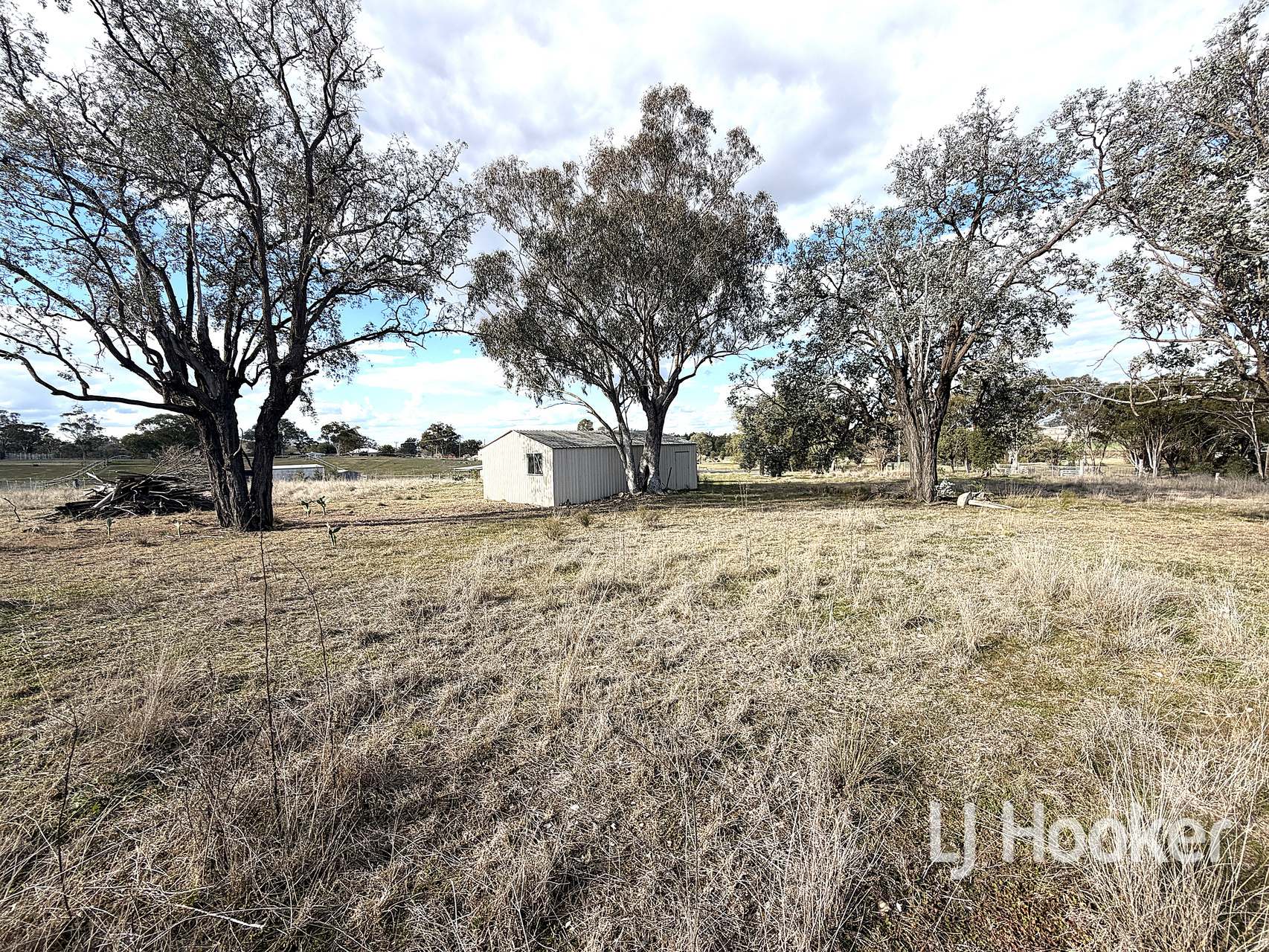 99 Inverell Street, Ashford For Sale by Farmbuy.com - image 1