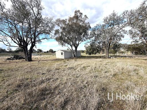 99 Inverell Street, Ashford NSW 2361