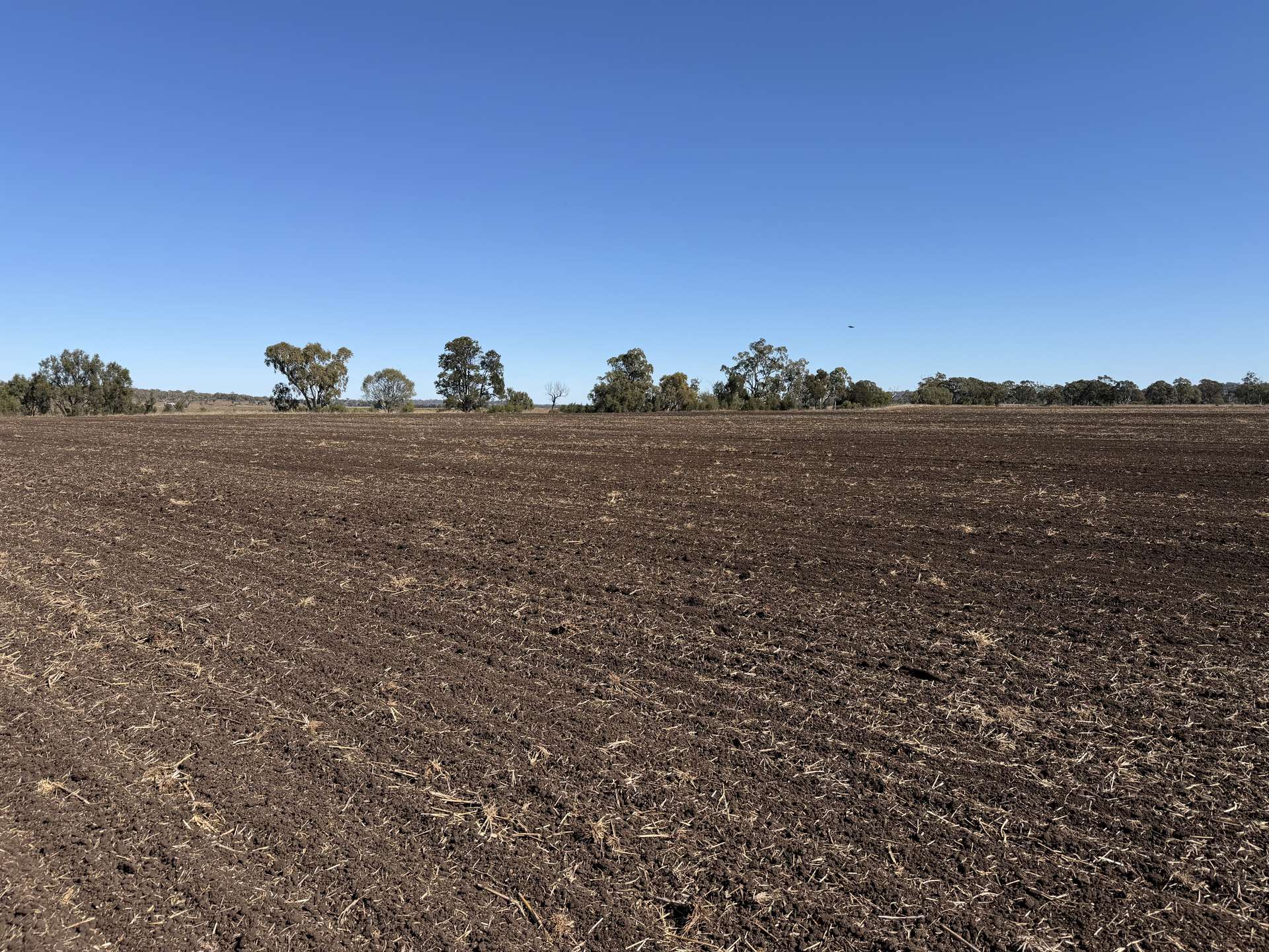 Lot 1 Bunya Highway, Bell For Sale by Farmbuy.com - image 3