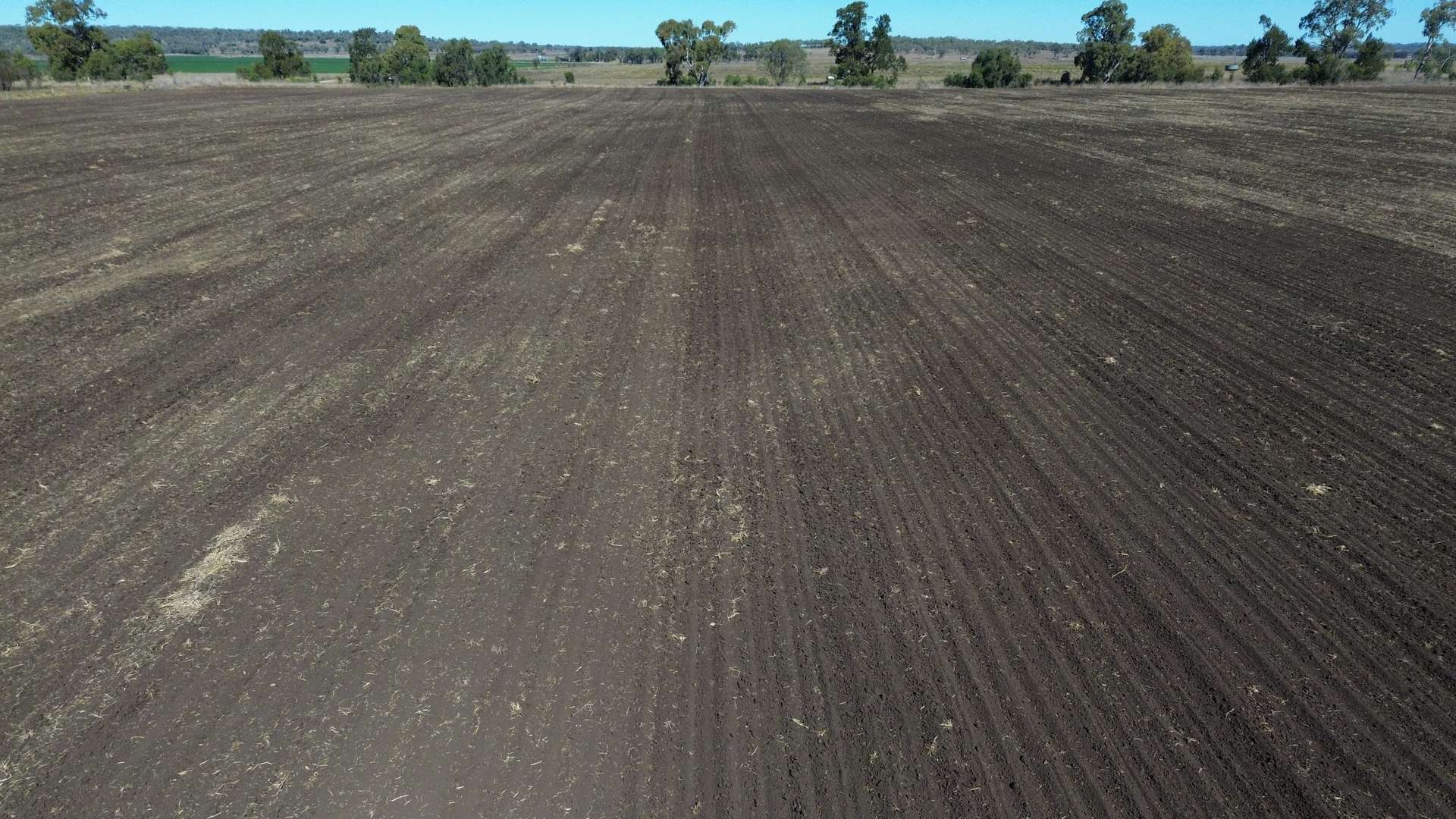 Lot 1 Bunya Highway, Bell For Sale by Farmbuy.com - image 13