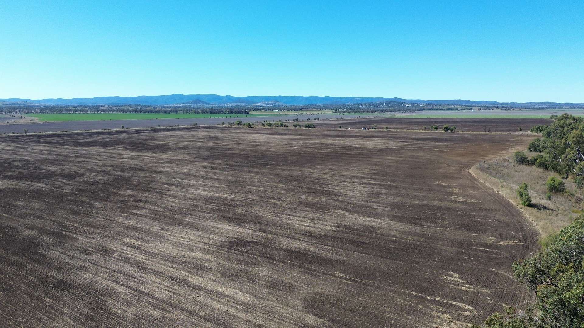 Lot 1 Bunya Highway, Bell For Sale by Farmbuy.com - image 5