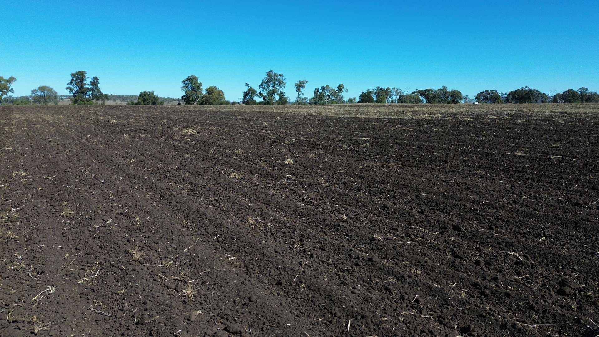 Lot 1 Bunya Highway, Bell For Sale by Farmbuy.com - image 12