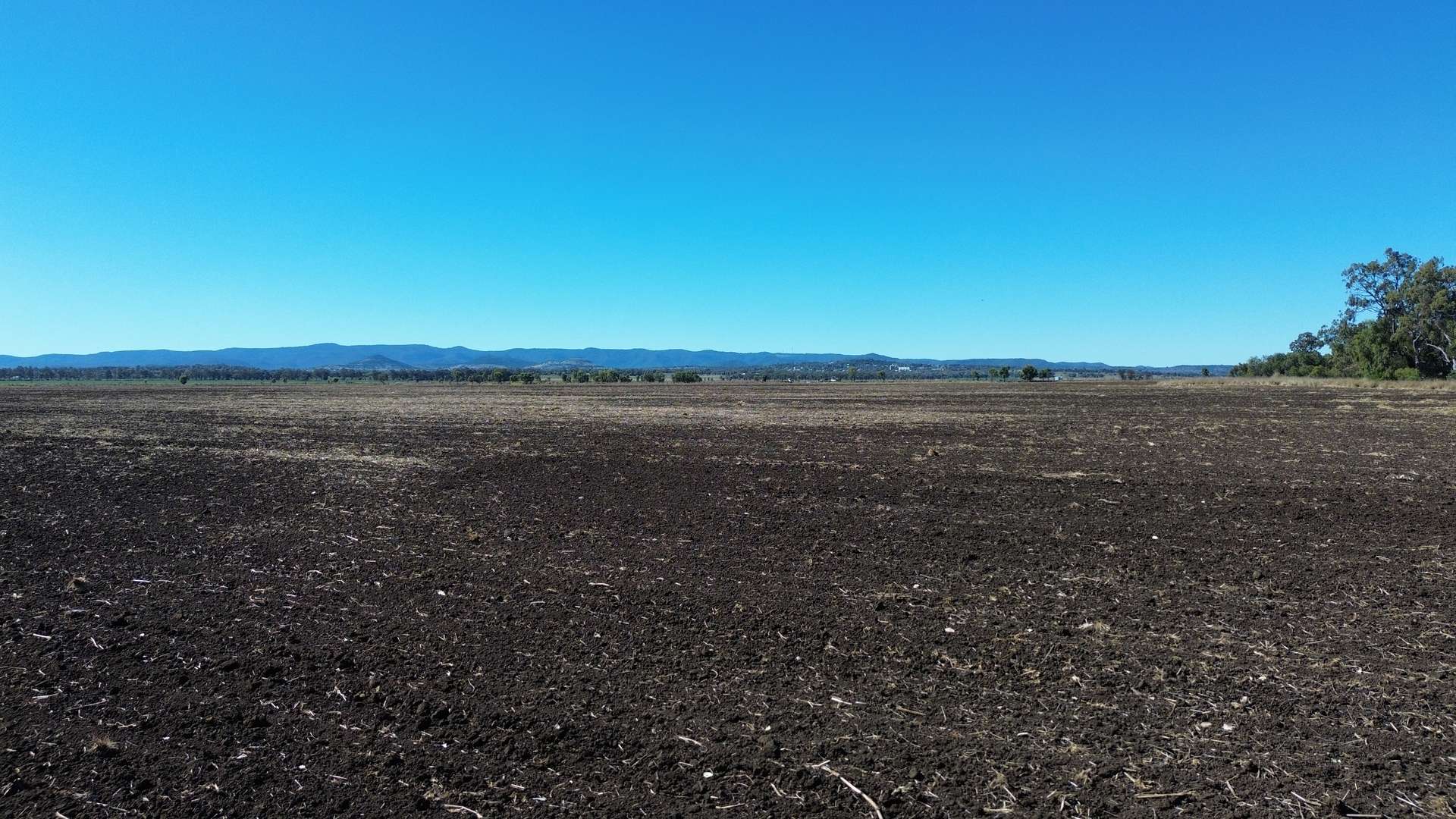 Lot 1 Bunya Highway, Bell For Sale by Farmbuy.com - image 4