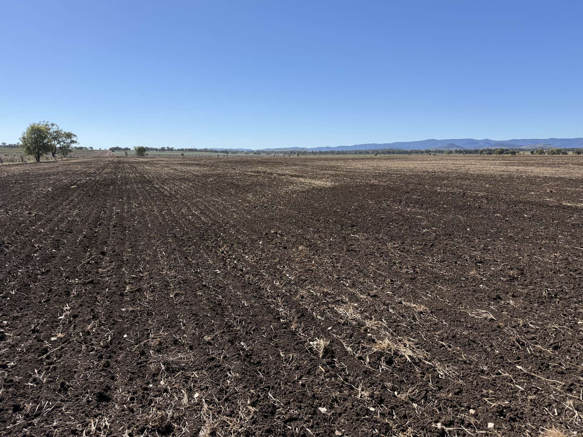 Lot 1 Bunya Highway, Bell For Sale by Farmbuy.com - image 16