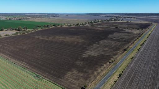 Farm For Sale - QLD - Bell - 4408 - Productive Black Soil Country with Valuable Water Allocation 