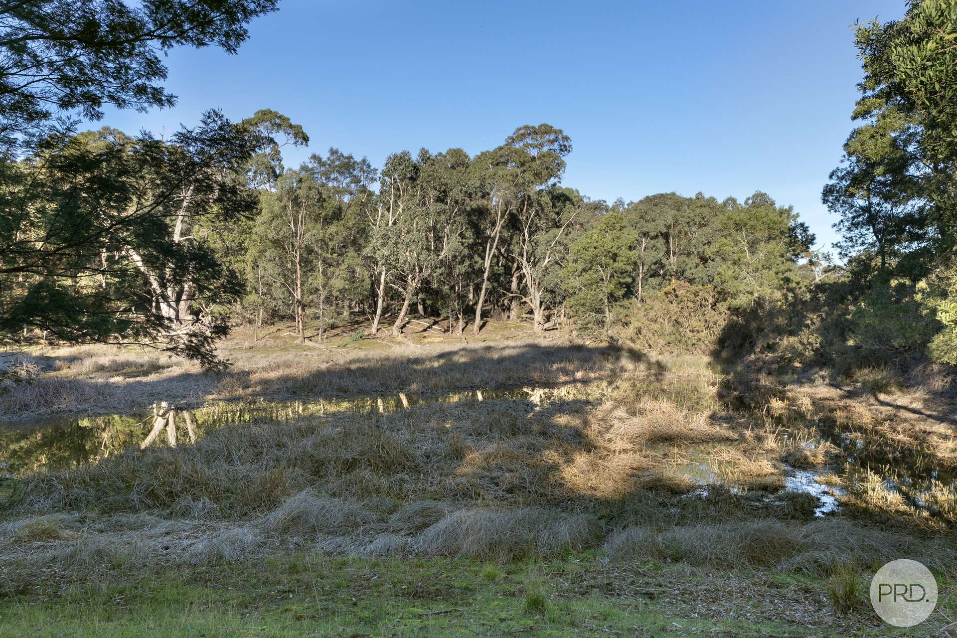 CA A14 Glenelg Highway, Linton For Sale by Farmbuy.com - image 7