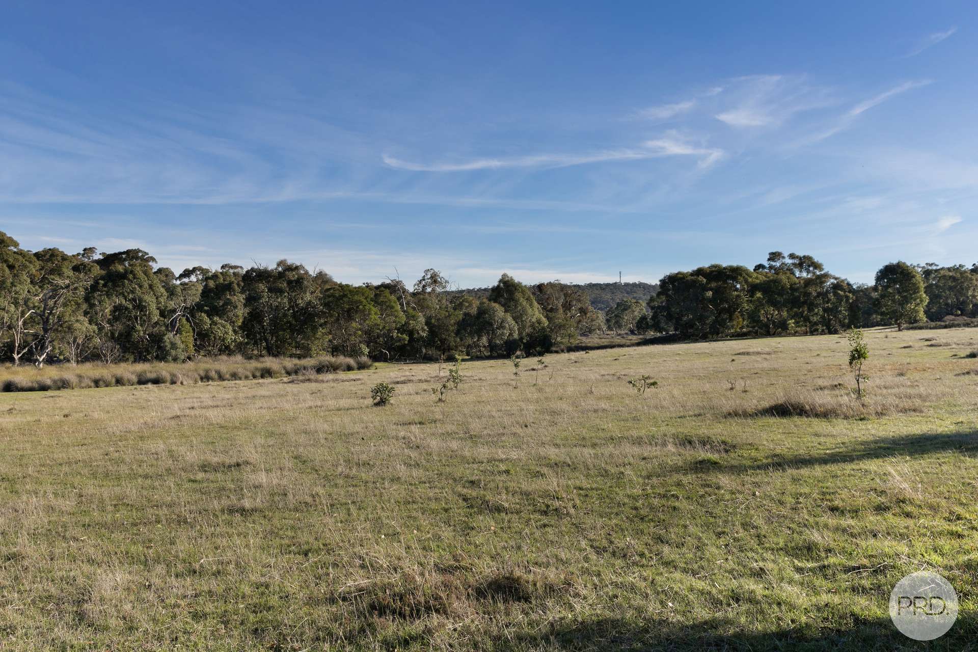 CA A14 Glenelg Highway, Linton For Sale by Farmbuy.com - image 5