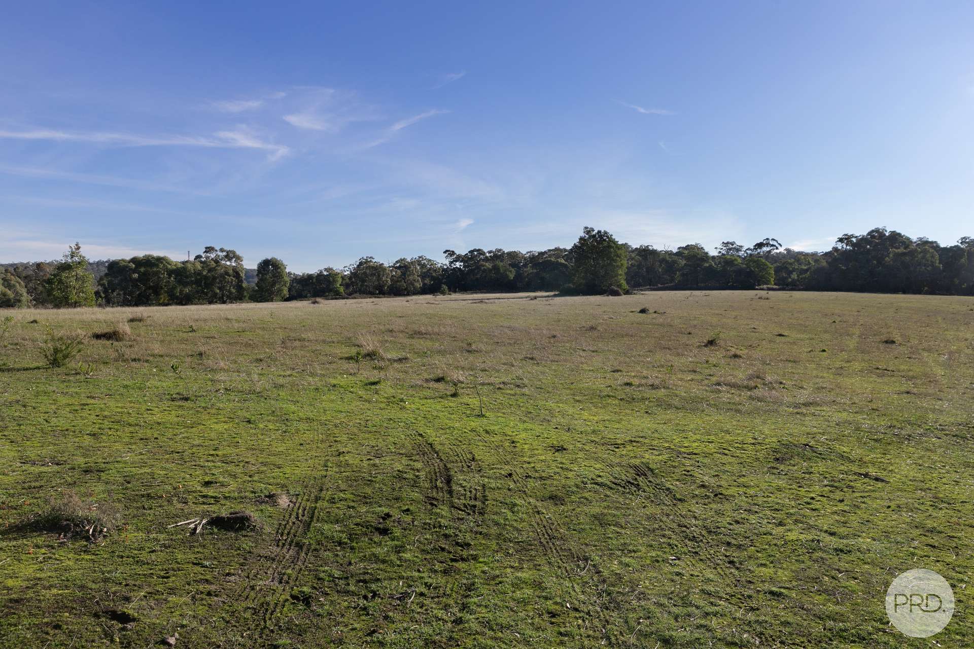 CA A14 Glenelg Highway, Linton For Sale by Farmbuy.com - image 4