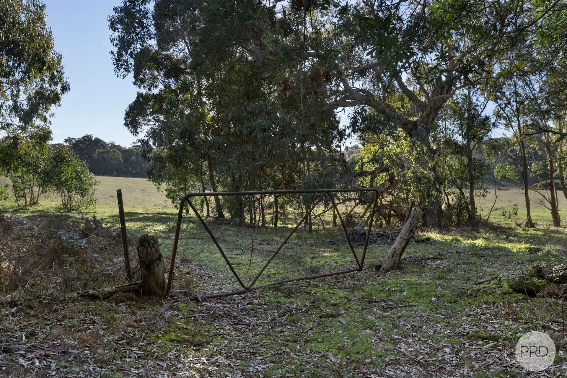CA A14 Glenelg Highway, Linton For Sale by Farmbuy.com - image 3