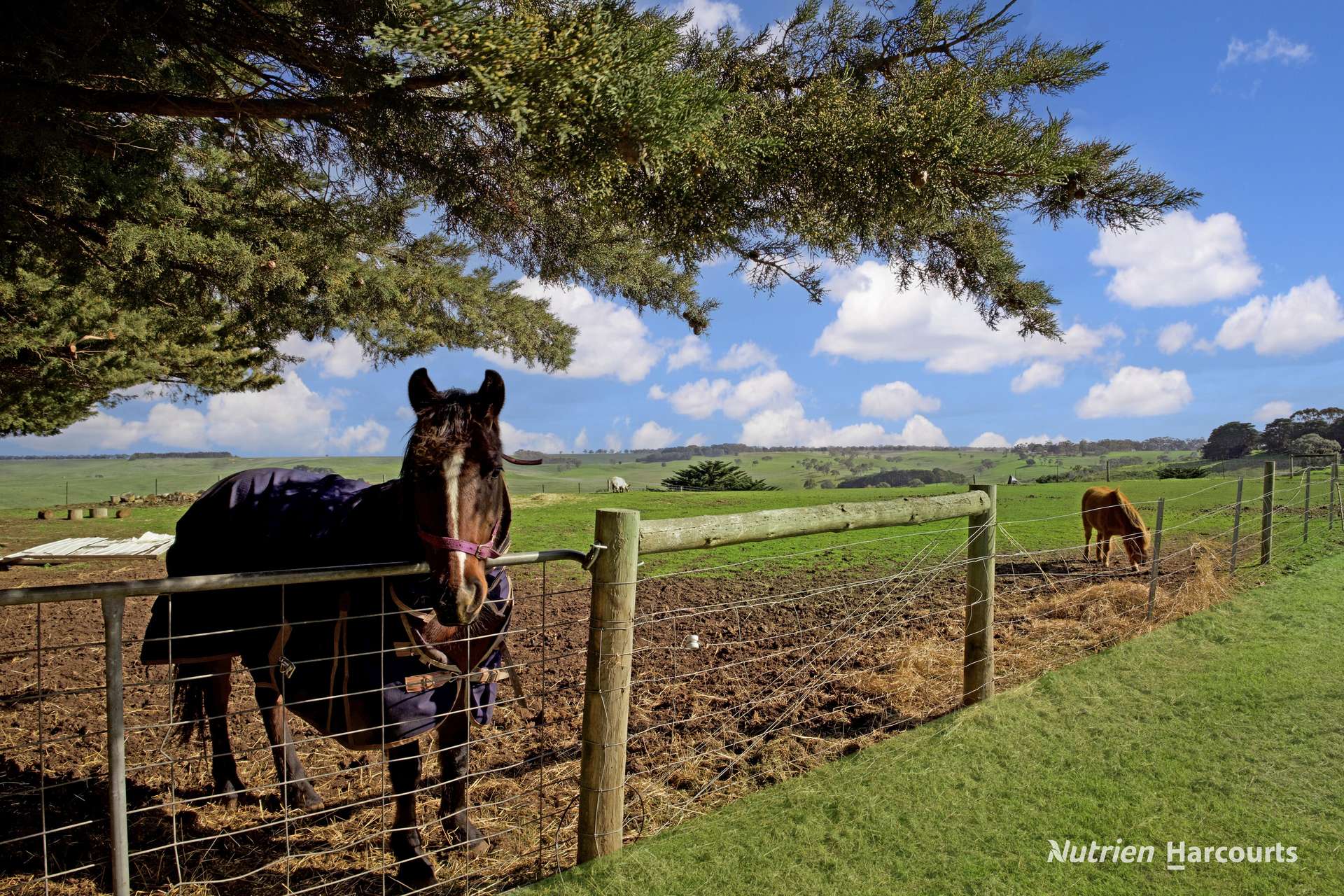 5035 Glenelg Highway, Casterton For Sale by Farmbuy.com - image 20