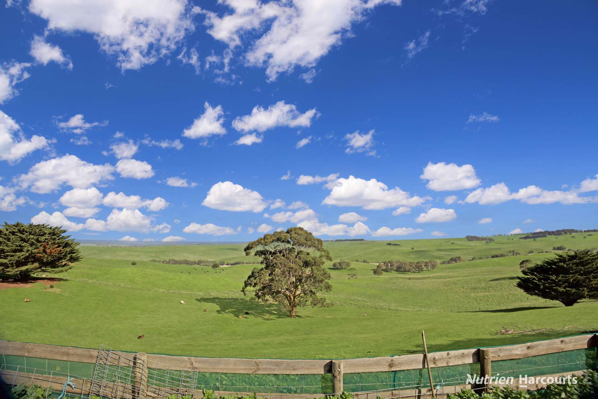5035 Glenelg Highway, Casterton For Sale by Farmbuy.com - image 13