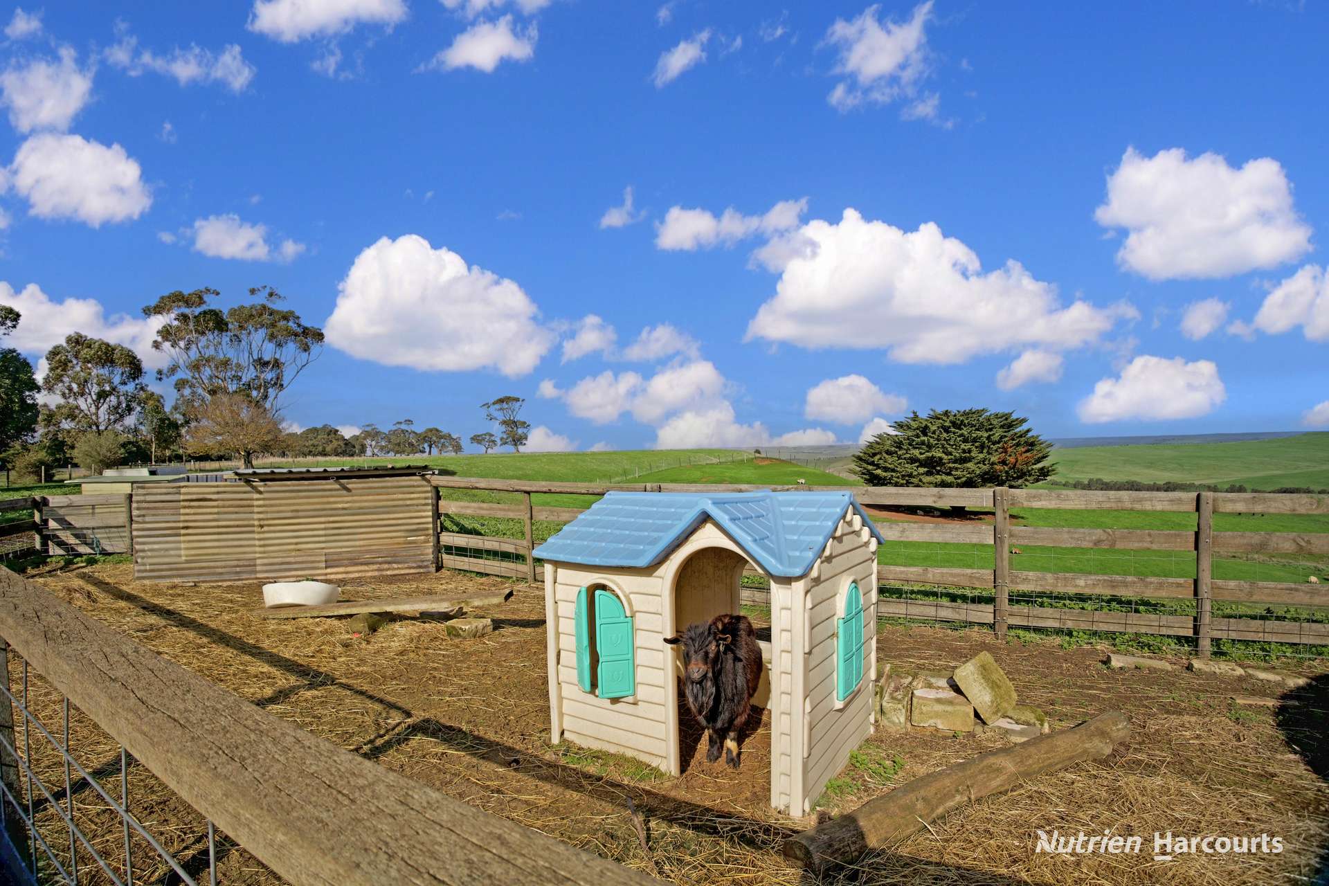 5035 Glenelg Highway, Casterton For Sale by Farmbuy.com - image 23