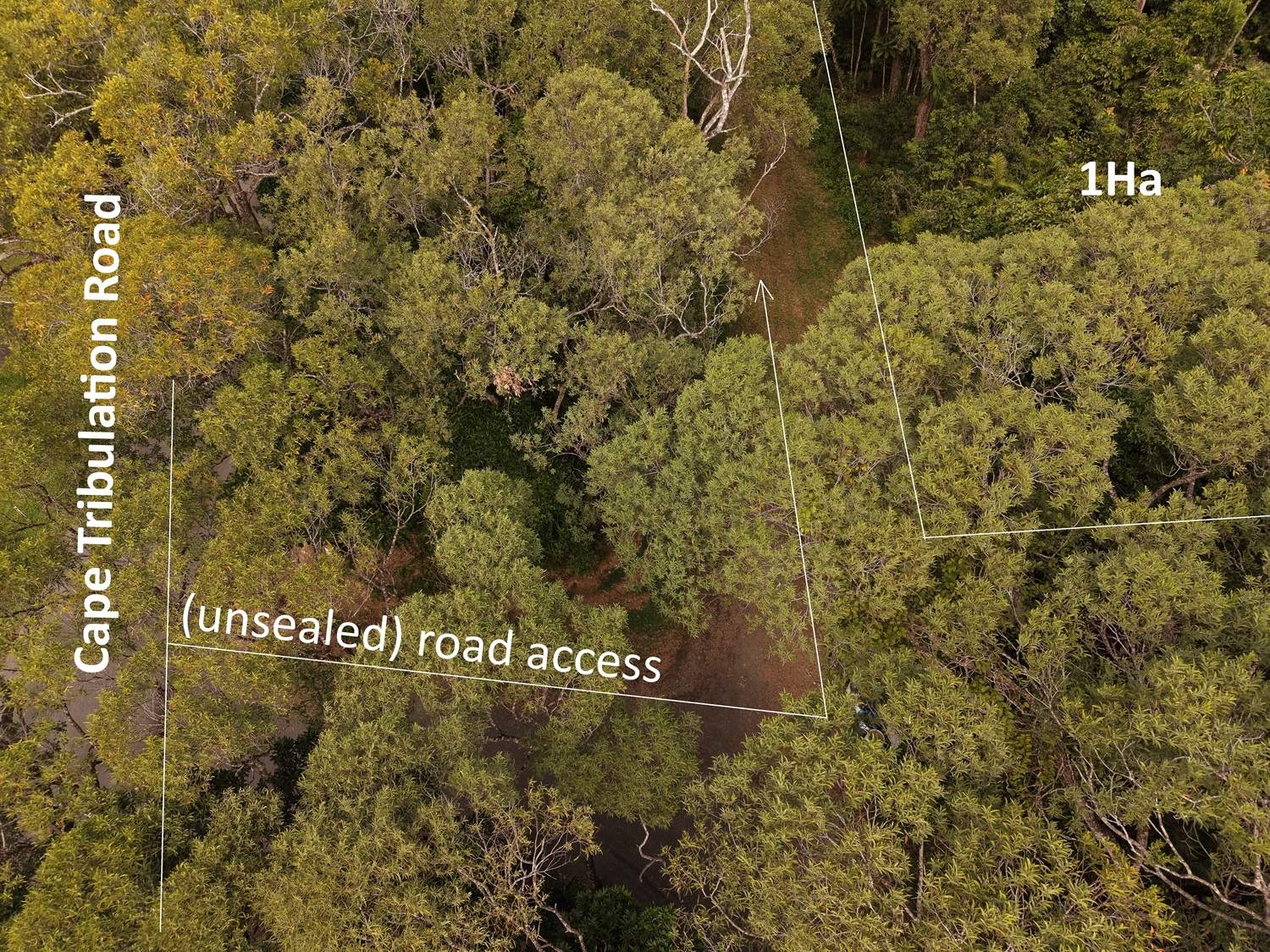 332 Cape Tribulation Road, Cow Bay, Daintree For Sale by Farmbuy.com - image 3