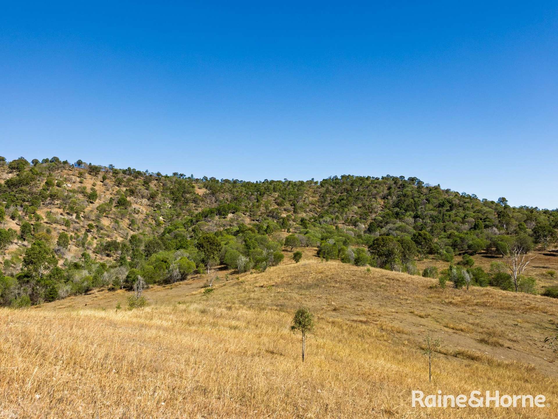81 Towns Creek Road, Mount Perry For Sale by Farmbuy.com - image 21