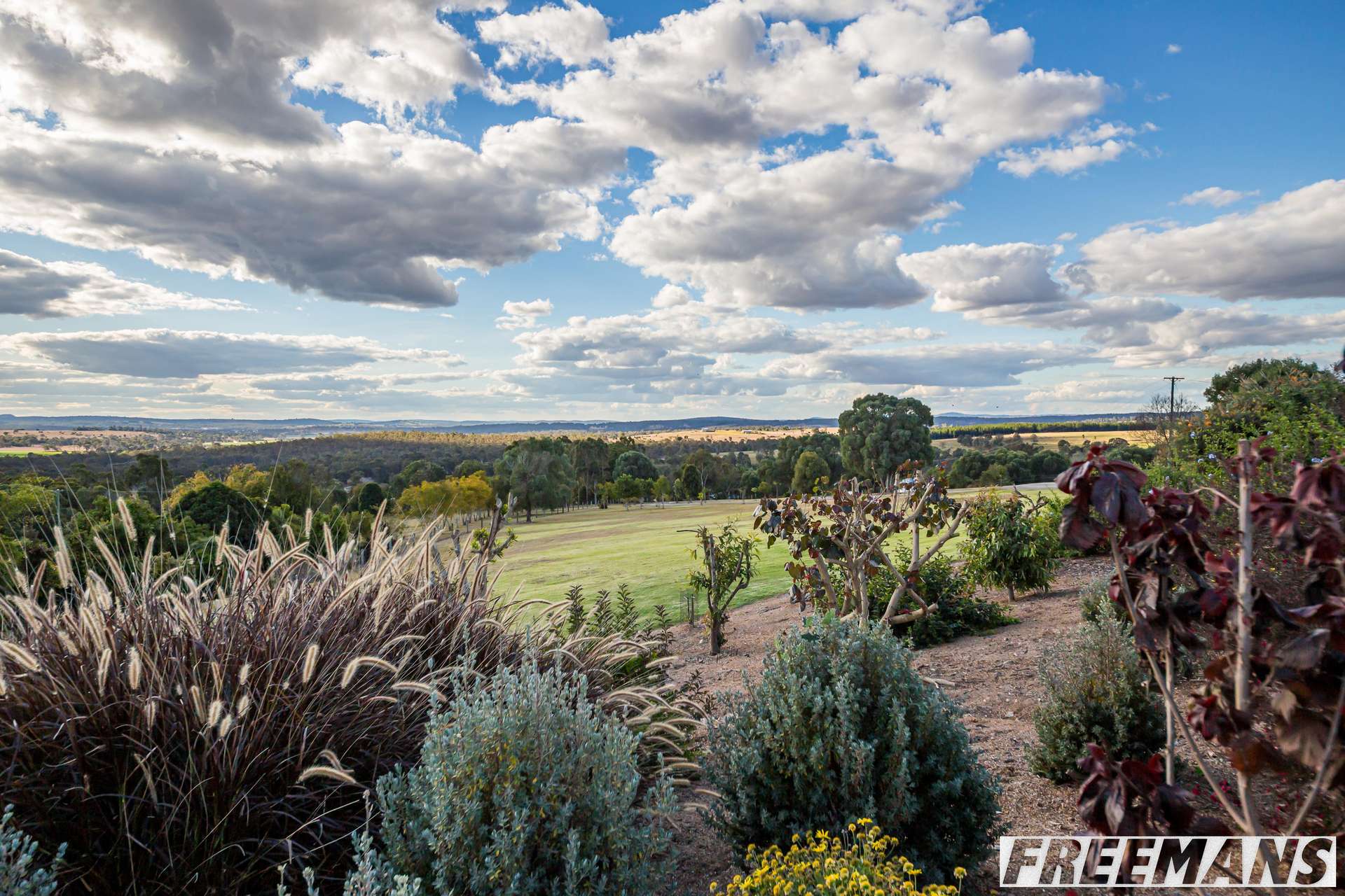 98 Cobby Road, Glan Devon For Sale by Farmbuy.com - image 30