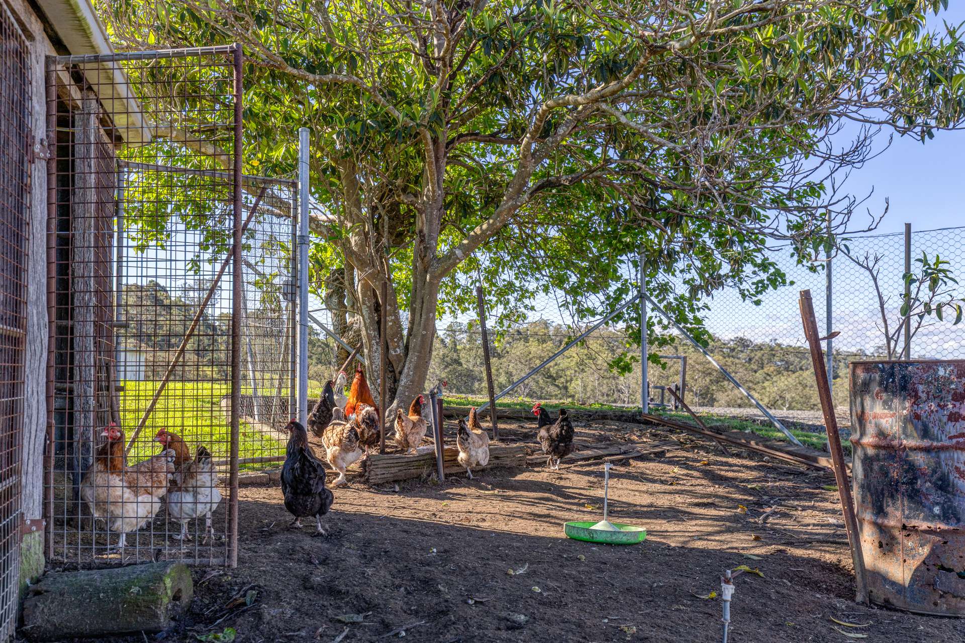 3781 Clarence Town Road, Dungog For Sale by Farmbuy.com - image 28